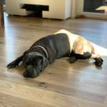 Ersteller:in Agnes Profilbild