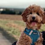 Ersteller:in Nina Profilbild