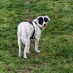 Ersteller:in Mar Profilbild