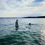 Ersteller:in Maxi Michelle Profilbild