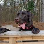 Ersteller:in Heike Profilbild