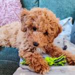 Ersteller:in Manuela Profilbild