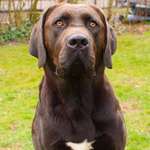 Ersteller:in Stefanie Profilbild