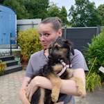 Ersteller:in Vera Profilbild