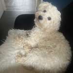 Ersteller:in Magdalena Profilbild