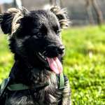 Ersteller:in Alex - Noelle Profilbild