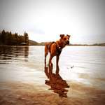 Ersteller:in Veronika Profilbild