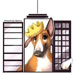 Ersteller:in D Profilbild