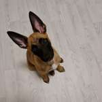 Ersteller:in Bahar Profilbild