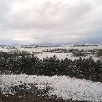 Hundeauslaufgebiet-Seeberg Alte Sternwarte-Bild