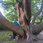 Hundeauslaufgebiet-Orangerie, Schloss Friedenstein-Bild