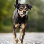 Ersteller:in Ute Profilbild