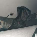 Ersteller:in Tammy & Profilbild