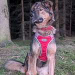 Ersteller:in Enola Profilbild