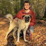 Ersteller:in Yanik Profilbild