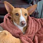 Ersteller:in Sandra Profilbild