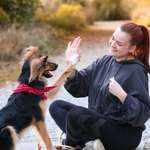 Ersteller:in Felicitas Profilbild