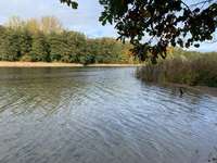 Hundeauslaufgebiet-Grunewald West-Bild