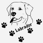 Ersteller:in Mia Profilbild