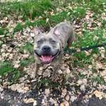 Ersteller:in Anna-Lena Profilbild