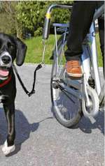 Abstandshalter fürs Fahrrad im Vergleich: welchen findet ihr für große Hunde am Besten?-Beitrag-Bild