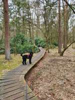 Hundeauslaufgebiet-Haarmühle-Bild