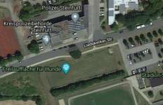 Hundeauslaufgebiet-Hundewiese in Burgsteinfurt-Bild