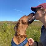 Ersteller:in Anna Profilbild