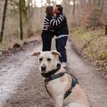 Ersteller:in Jaqueline Profilbild