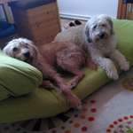 Ersteller:in Connie Profilbild