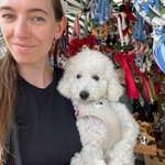 Ersteller:in Lena Profilbild