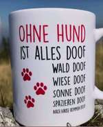 Hunde sprüche-Beitrag-Bild