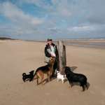 Ersteller:in Sabine Profilbild