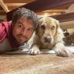 Ersteller:in Joes Profilbild