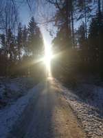 Hundeauslaufgebiet-Müller Milch Runde-Bild