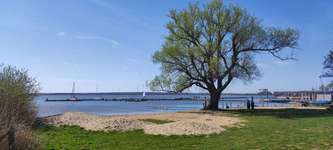 Hundeauslaufgebiet-Schodden Hof-Bild
