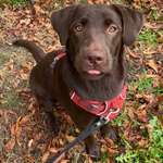 Ersteller:in Anna Profilbild