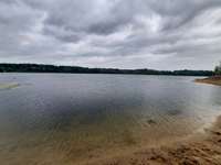 Hundeauslaufgebiet-Freizeitpark Kaltenkirchen-Bild