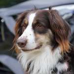 Ersteller:in Isabell Profilbild