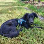 Ersteller:in Jenny Profilbild