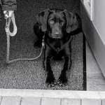 Ersteller:in Julia Profilbild