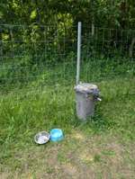 Hundeauslaufgebiet-Hundefreilauf Heide-Bild