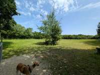 Hundeauslaufgebiet-Hundefreilauf Heide-Bild