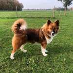 Ersteller:in Heike Profilbild