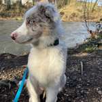 Ersteller:in Lotti Profilbild