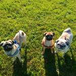 Ersteller:in Grit Profilbild