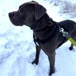 Ersteller:in Jörg Profilbild