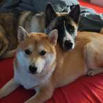 Ersteller:in Fabian Profilbild