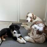 Ersteller:in Carolin Profilbild