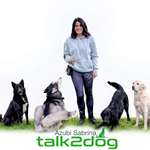 Ersteller:in Sabrina Profilbild